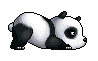 panda